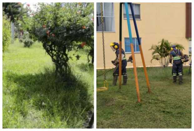 Poda a la maleza en el barrio Villa Jardín