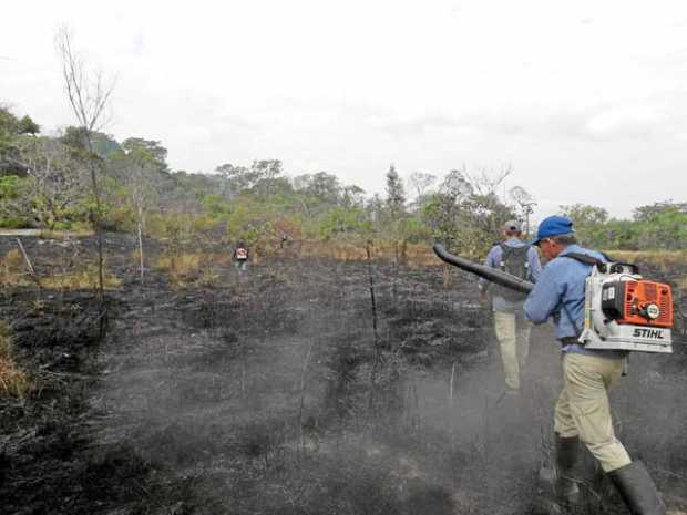 Foto | @ParquesColombia | LA PATRIA El incendio se registra en dos sectores conocidos Cerro Tomas y río Tomo.