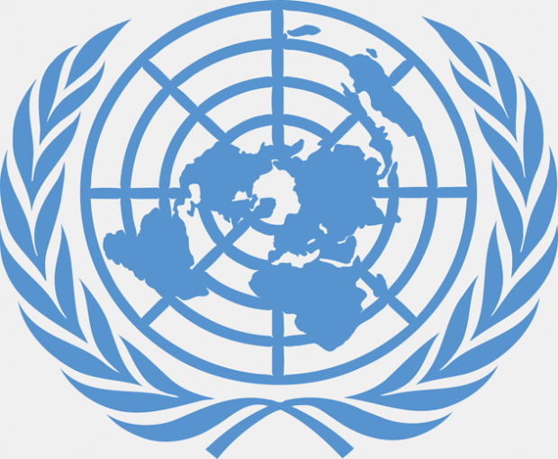 Respaldan con firmas informe de la ONU