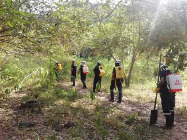 Controlan incendio en el Oriente de Caldas Controlan incendio en el Oriente de Caldas