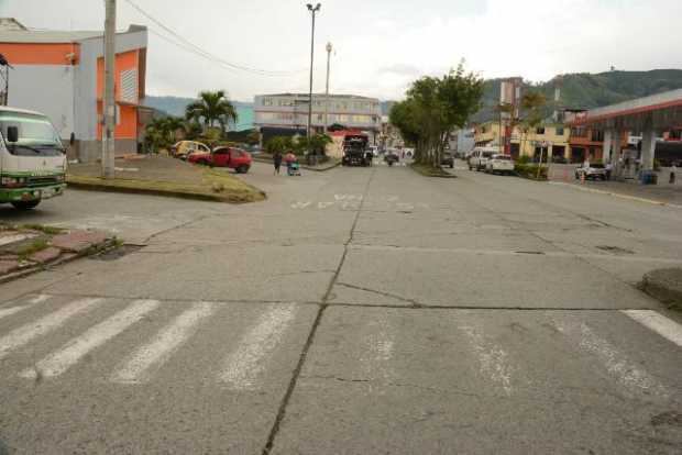 Cebra borrada en el sector de La Cayana. 