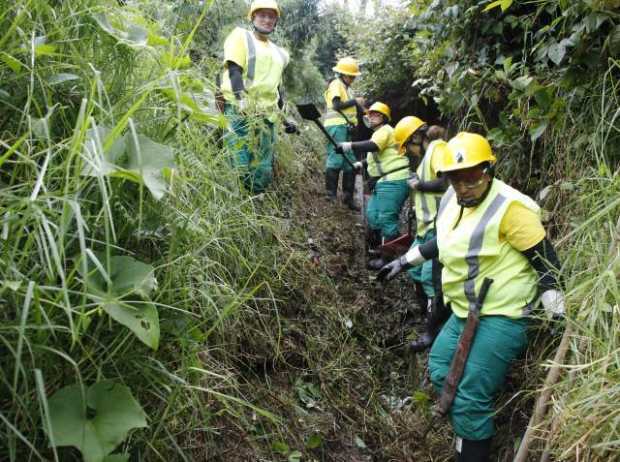 Corporación Cívica de Caldas le pise a la Alcaldía de Manizales y Corpocaldas continuar con el programa de Guardianas de la Lade