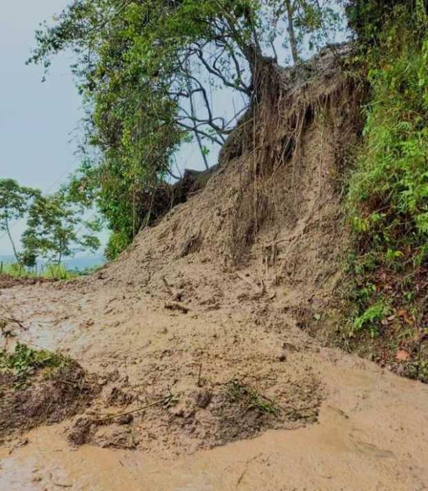 Habilitan vías en veredas de Salamina Habilitan vías en veredas de Salamina