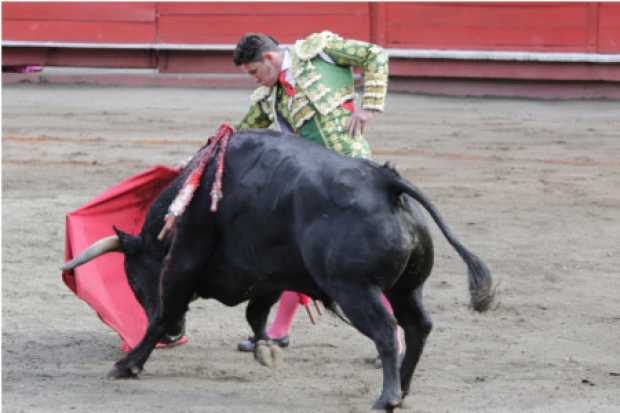 Toros en Manizales