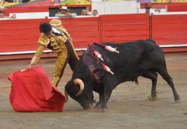 Una escuela que aprende en la fiesta taurina