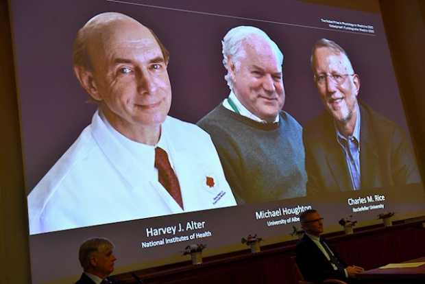 Un Nobel de Medicina para tres virólogos que descubrieron la hepatitis C Un Nobel de Medicina para tres virólogos que descubrieron la hepatitis C