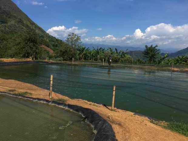 Víctimas y excombatientes reciben apoyo para proyecto piscícola en resguardo Cañamomo Lomaprieta