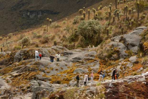 Turismo con respeto: respire y cuide el páramo en el PNN Los Nevados