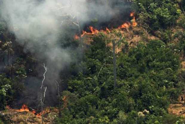 La Amazonía perdió 2,3 millones de hectáreas en 2020, su tercer peor registro 