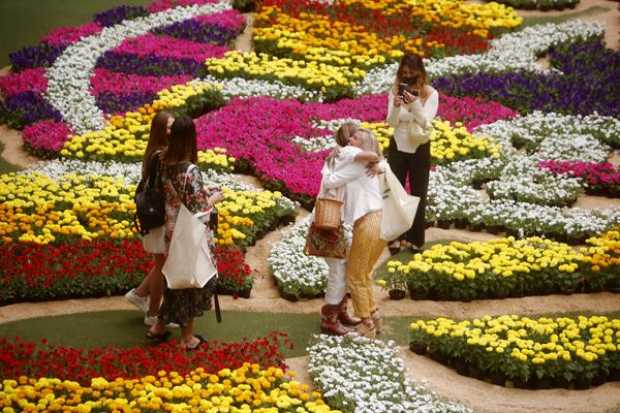 Medellín recibe la Feria con un tapiz tejido con 181.000 flores