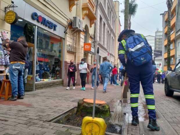 Secretaría de Medio Ambiente autorizó tala de dos palmeras en la carrera 23