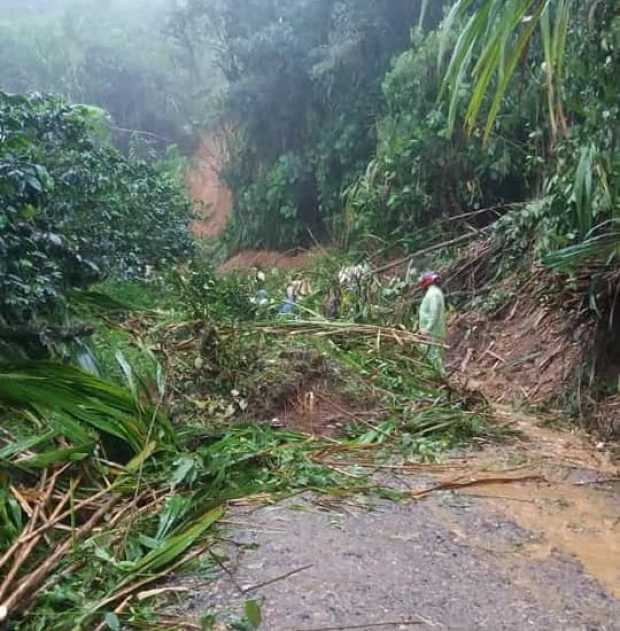 Pasos restringidos en vías de Caldas por deslizamientos 