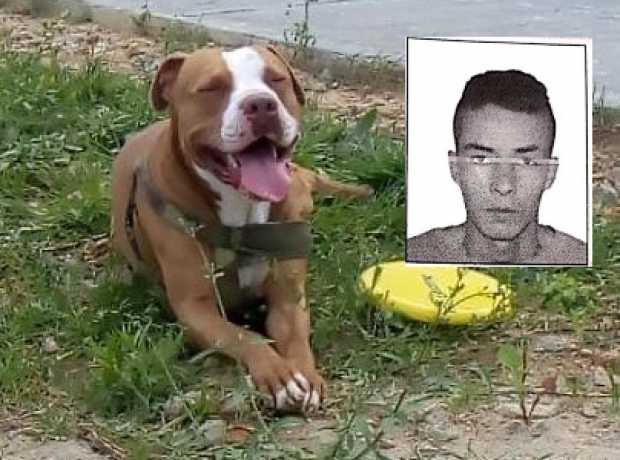 Lo condenaron 23 meses de prisión por maltratar a un perro en la vereda El Guamo, de Manizales