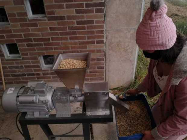 El grano es trillado y pasa por una segunda clasificación manual. El grano es trillado y pasa por una segunda clasificación manual.