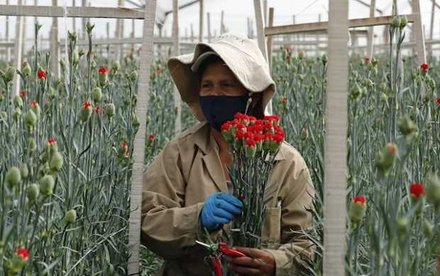 Colombia agrega 4.947 contagios y 229 fallecimientos por coronavirus