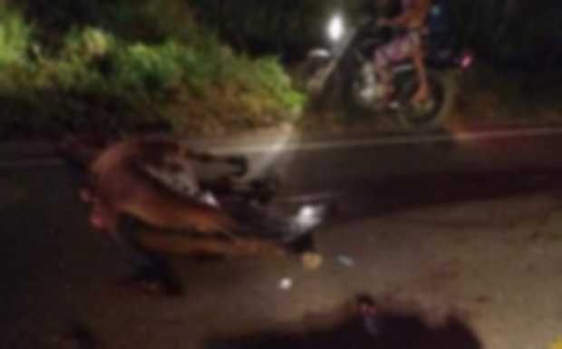 Motociclista y caballo murieron en un choque en Supía