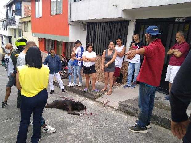 Momento en que el sujeto (derecha) discutía con la comunidad, luego de matar al perro.