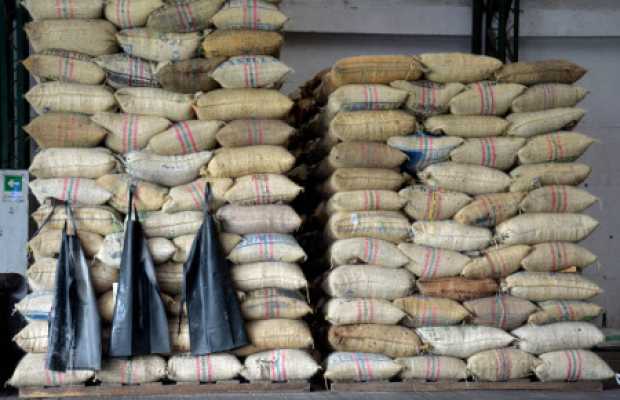 Importadores buscan café de otros destinos diferentes de Colombia