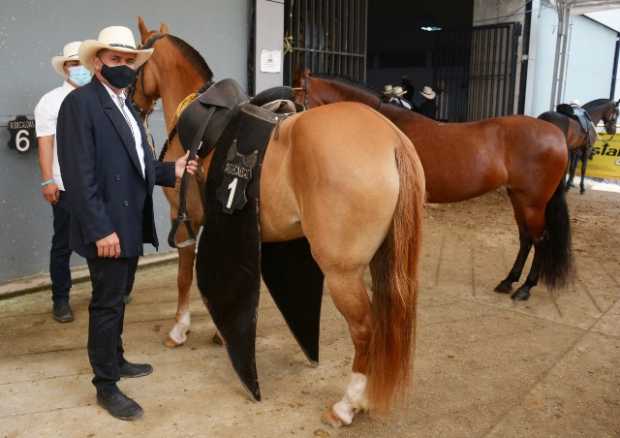 Avanza la Feria Equina de Manizales con la modalidad Paso fino colombiano