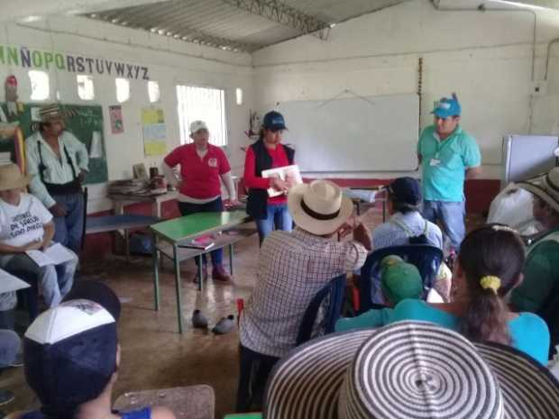 De vereda en vereda va la leishmaniasis: 110 casos en Caldas en cuatro meses