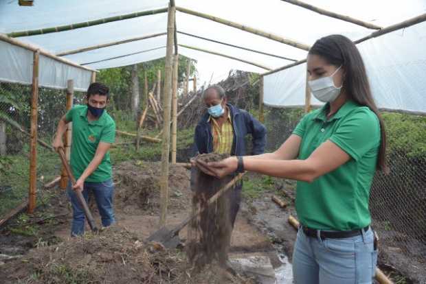 Beeco, alternativa para los residuos orgánicos en Manizales y Villamaría 