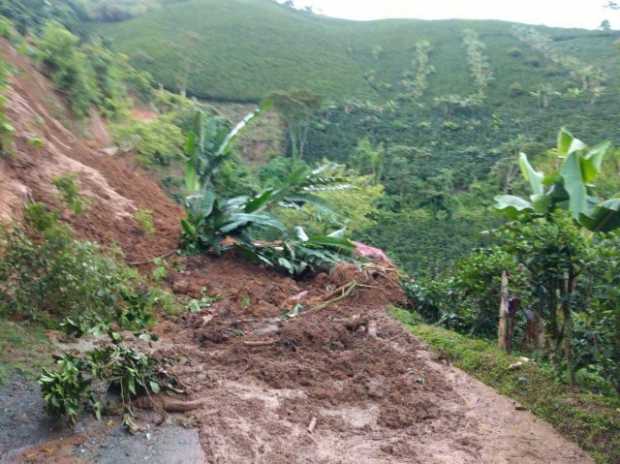Gobernación entrega balance de los municipios afectados por las lluvias: conozca los puntos afectados