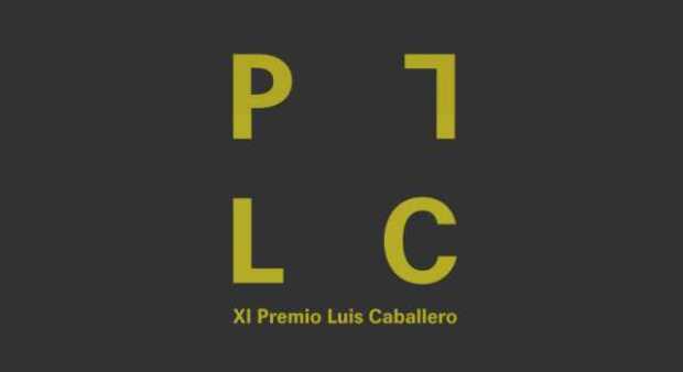 XI Premio Luis Caballero