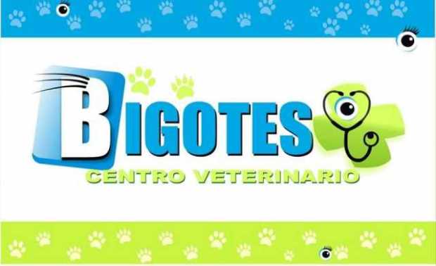 Centro Veterinario Bigotes