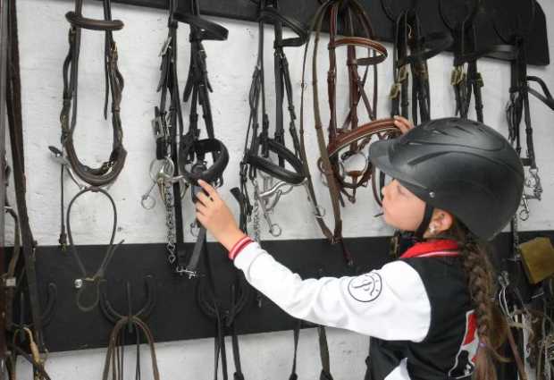 Tienen las riendas para educar con caballos en la escuela de equitación Santa Rita