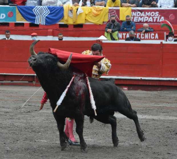 Despistado encuentra lo Justo: toro de César Rincón indultado