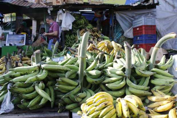 Más inversión para cadenas y fábricas de productividad en Manizales