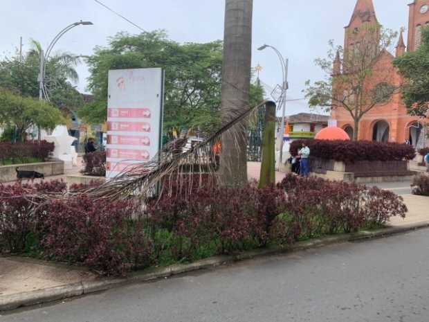 Los jardines también se encuentran en malas condiciones. 