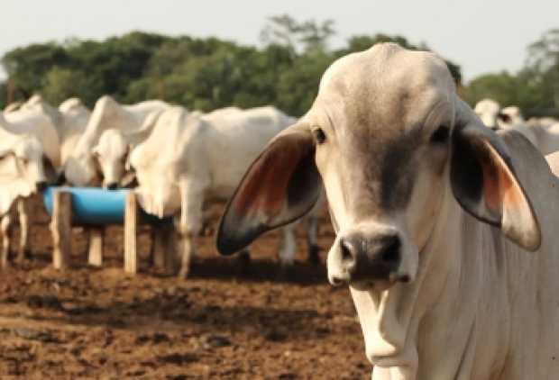 Foto ilustración Foto ilustración