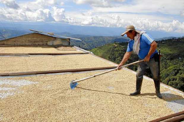 Buen precio, pero falta el café