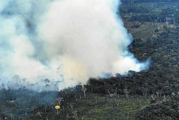 Foto | EFE | LA PATRIA    Los incendios forestales buscan acabar con la capa vegetal para explotar la tierra y ocupar el territo