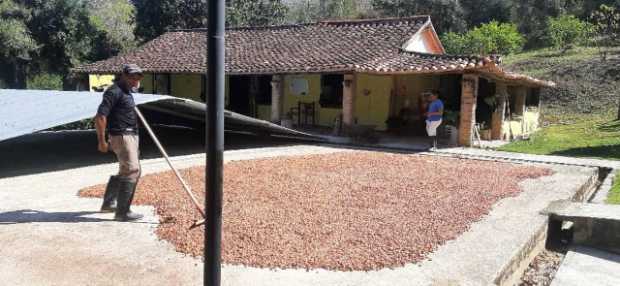 David Faraco y los Chocolates Águila dorada darán visibilidad internacional a su origen en Venezuela