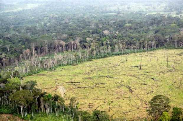 Fotografía de archivo del 3 de septiembre de 2020 que muestra un aspecto general del área deforestada en zona rural de Nueva Col