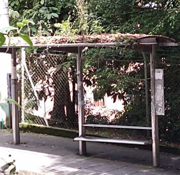 El paradero en el barrio Fátima tiene maleza en el techo. 