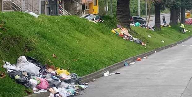 Las basuras, regadas en la Avenida de La Sultana.