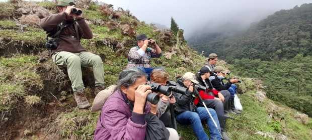 Foto | Cortesía | LA PATRIA  Un grupo de observadores concentrados y maravillados con el quetzal.