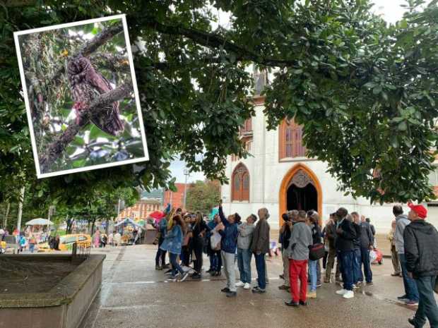 Encantados con búho en el Parque Caldas (Manizales)