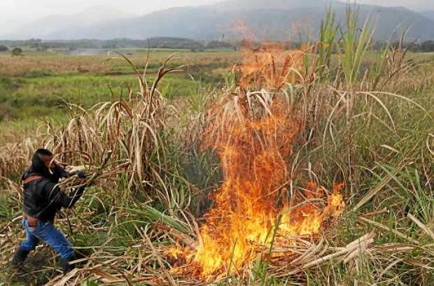 Un indígena quema un cultivo de caña de azúcar el cual según ellos fue objeto de liberación de la madre tierra el 15 de septiemb
