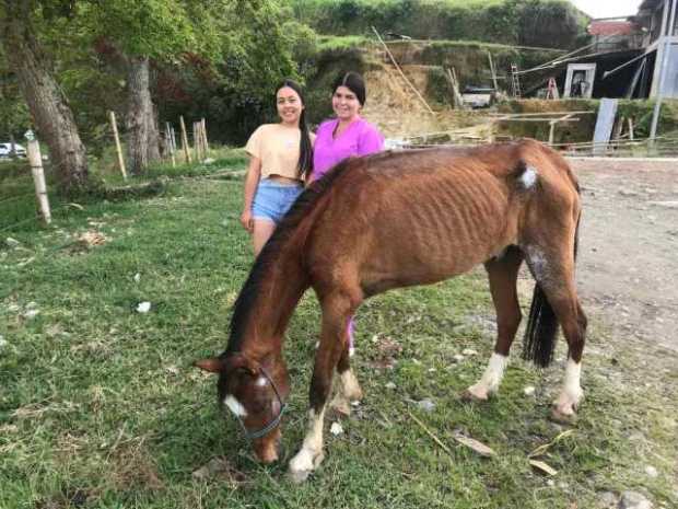 Dos mujeres salvaron al caballo Milagro en Aranzazu