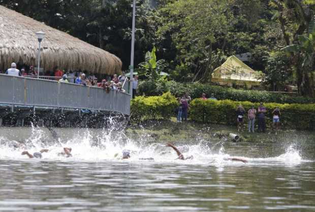 Festival de Verano