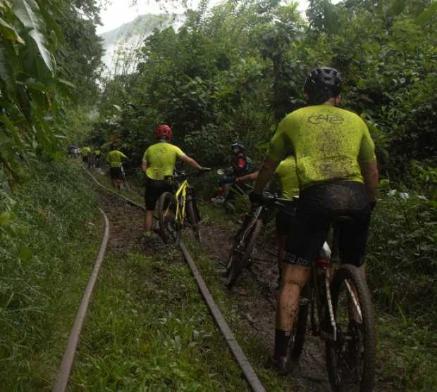 Etapa del Café Etapa del Café