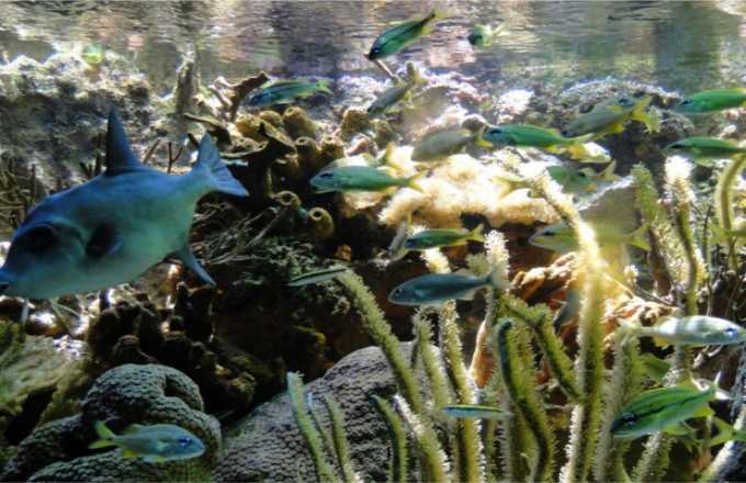 Fotos | Rubén Darío López | LA PATRIA