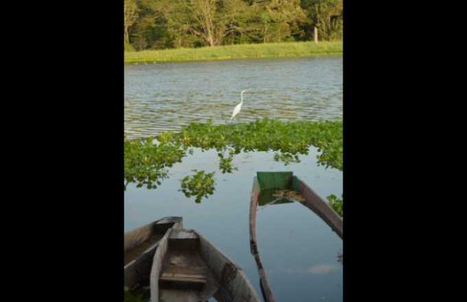 Foto | Freddy Arango | LA PATRIA