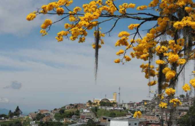 Fotos | Albeiro Rudas | LA PATRIA