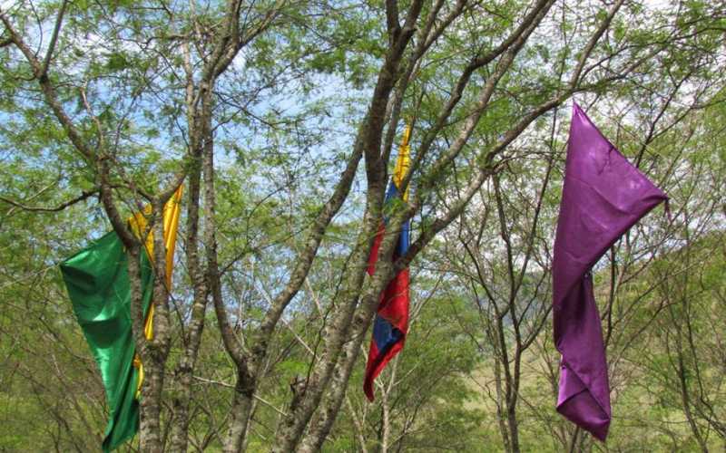 Visita de scouts a Nariño 