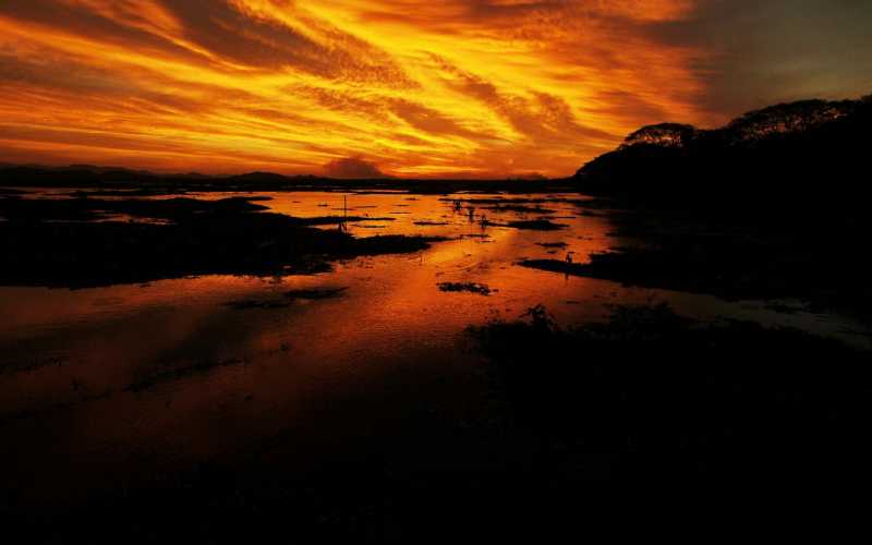 Atardecer en la laguna del Parque Nacional Palo Verde, en el municipio de Guanacaste (Costa Rica).